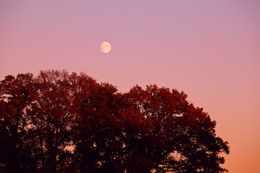 There’s a full ‘thunder moon’ eclipse on Sunday